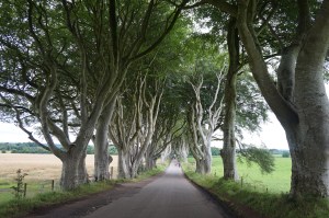 dark-edge-games-of-trons-4