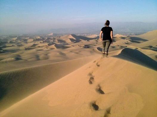 20046503_449824612083530_3053640154435854312_n