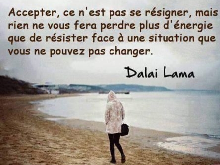 14581351_271824943217616_7760207864578352706_n-460x427