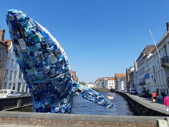 38665110_314387472464626_3999742355153354752_n