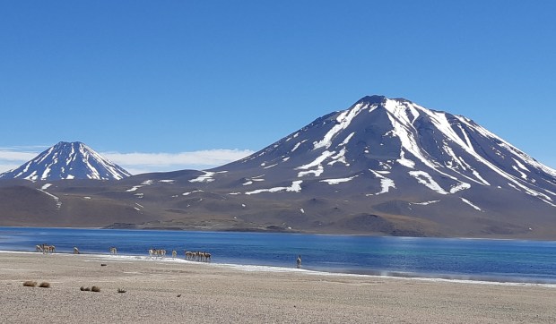 san-pedro-de-atacama-laguna-altiplanica-40.jpg
