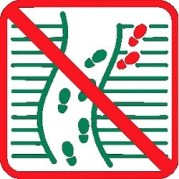 1200x900_restez-sur-les-sentiers-5171