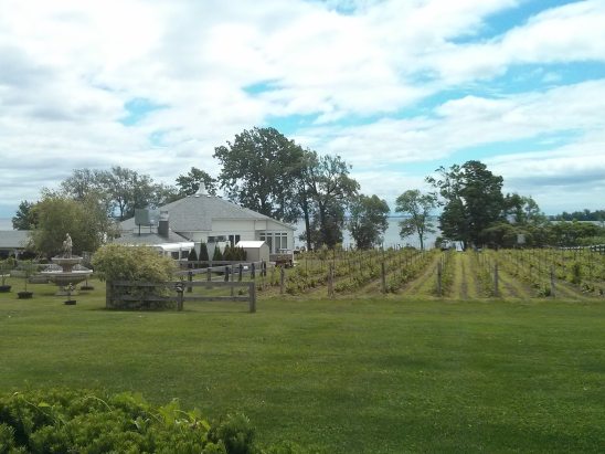 61538609_2304115429847105_3069374107226210304_n