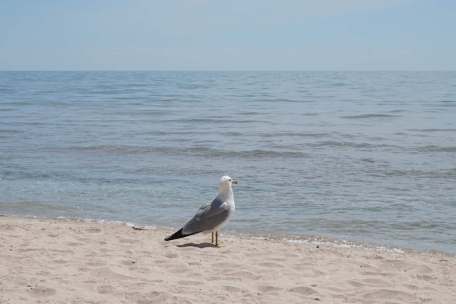 61541305_2261516610774940_6996534740597604352_n