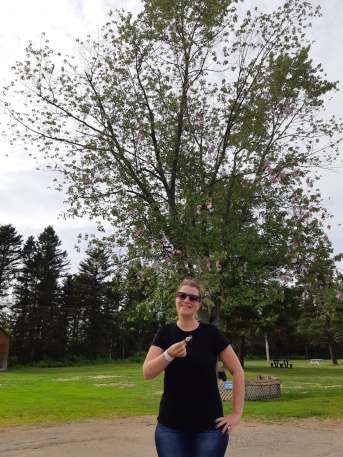 61891335_328032788089285_4281030234498662400_n